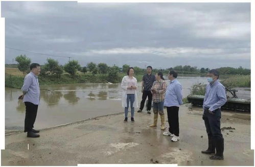 黃陂區科學應對暴雨來襲，多措并舉筑牢防汛排澇安全防線